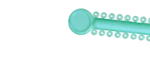 Greenville, NC Orthodontist Teeth