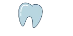 Greenville, NC Orthodontist Tooth